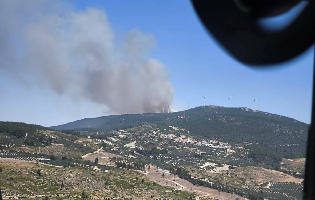 Manisa'nın Soma ilçesinde ormanlık