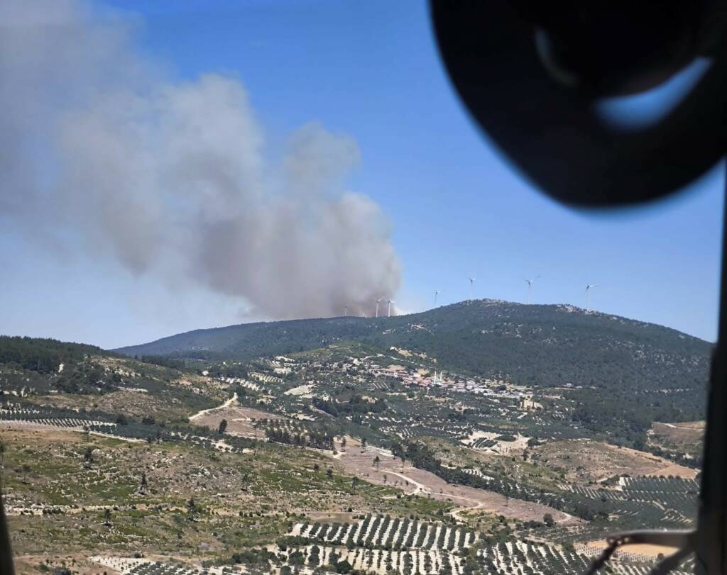 Manisa’da orman yangını: Müdahale ediliyor!