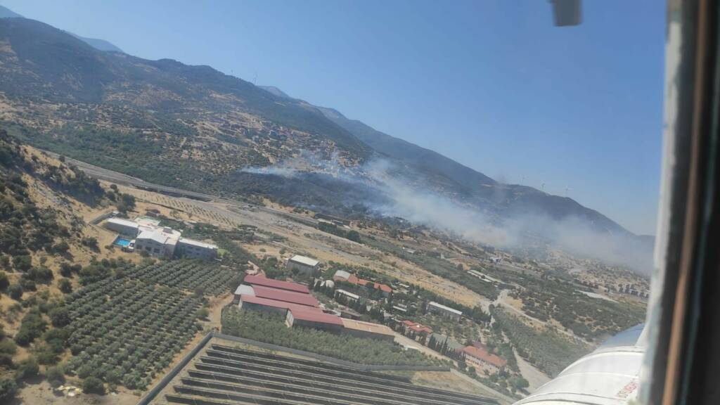 İzmir'in Menemen ilçesinde makilik