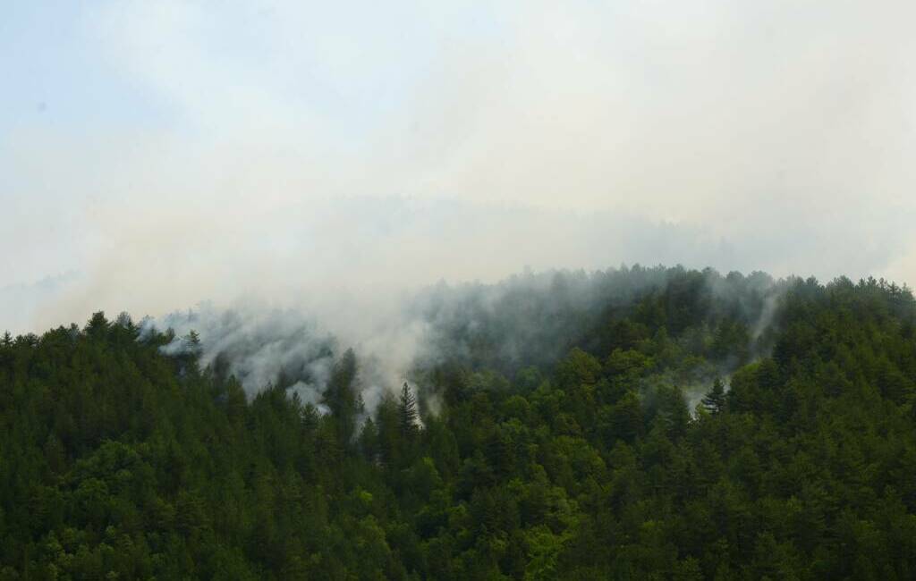  Kastamonu'nun İhsangazi ilçesinde yıldırım