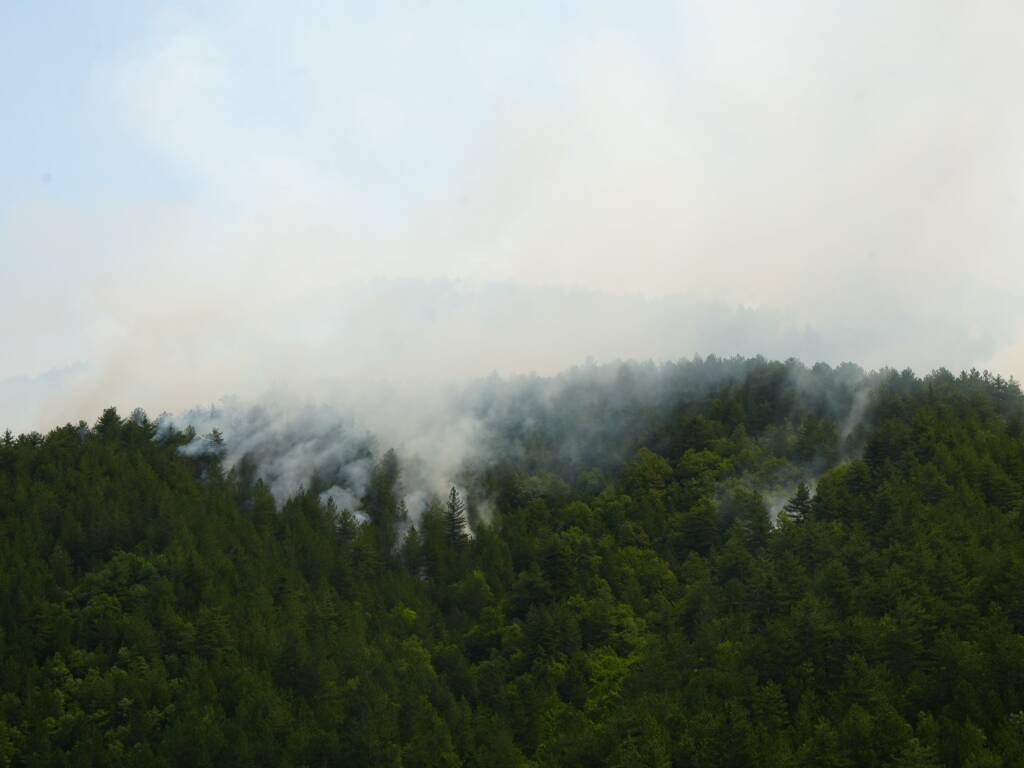 Kastamonu’da orman yangını: Müdahale ediliyor!