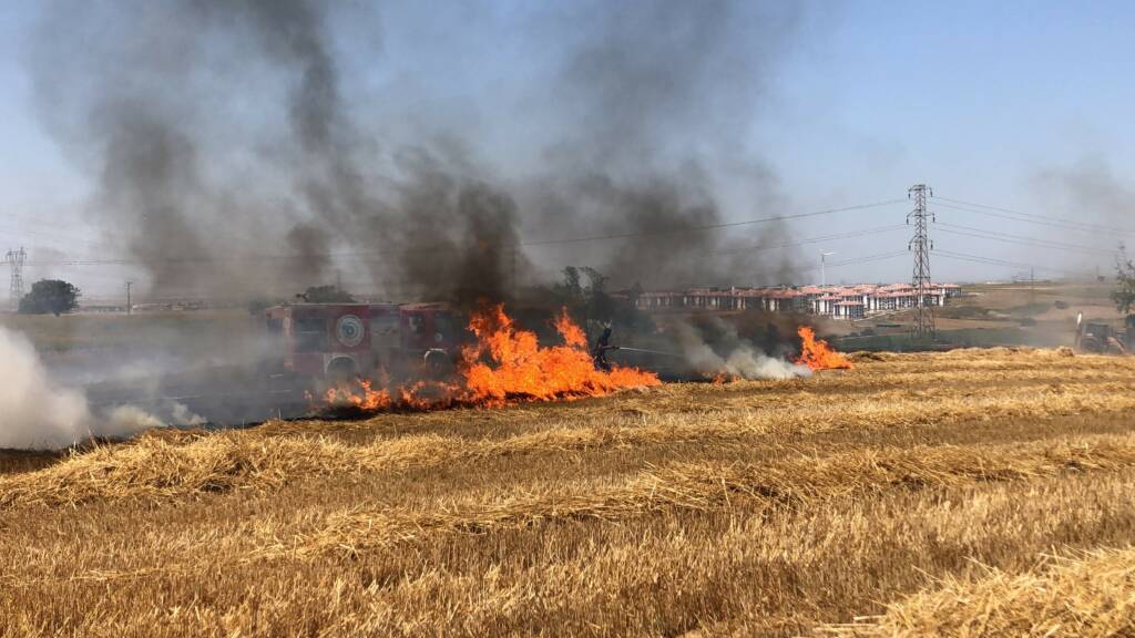  Tekirdağ'ın Çorlu ilçesinde ekili