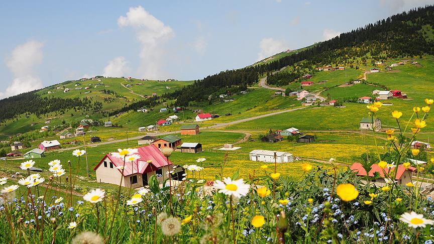  Özellikle kalp yetmezliği, KOAH