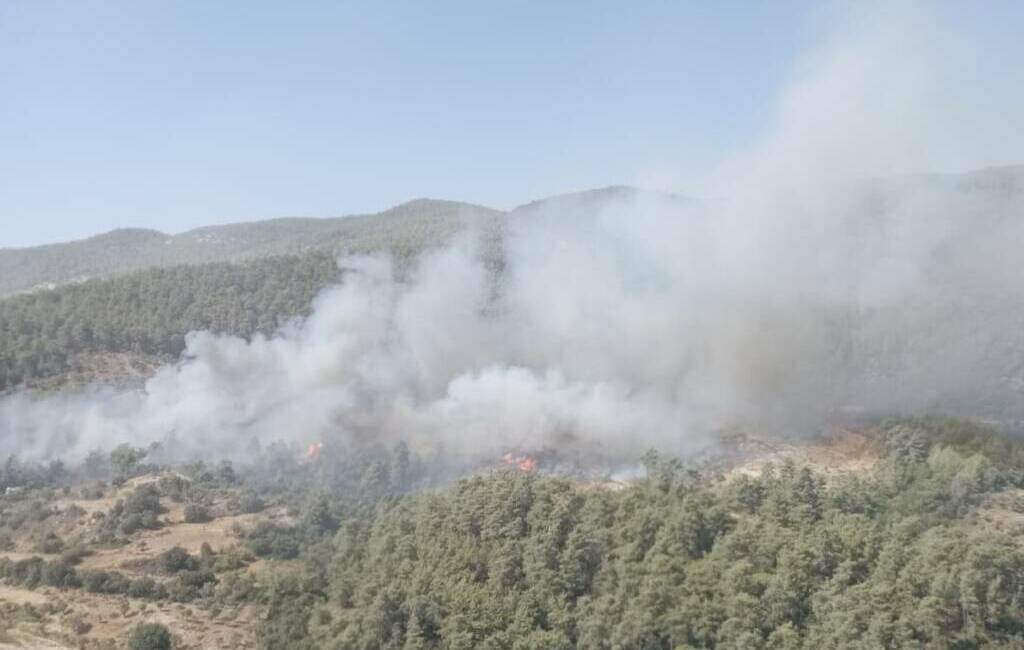 Muğla'nın Milas ilçesinde, Sekköy