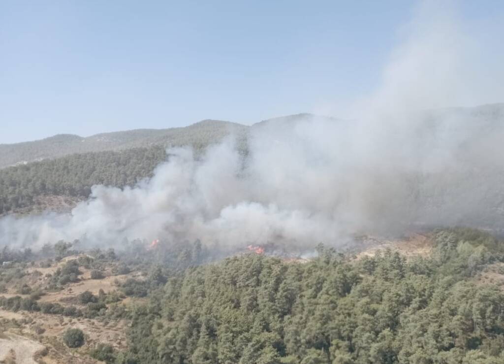 Ormanlık alanda yangın: Ekipler alevlerle mücadele ediyor