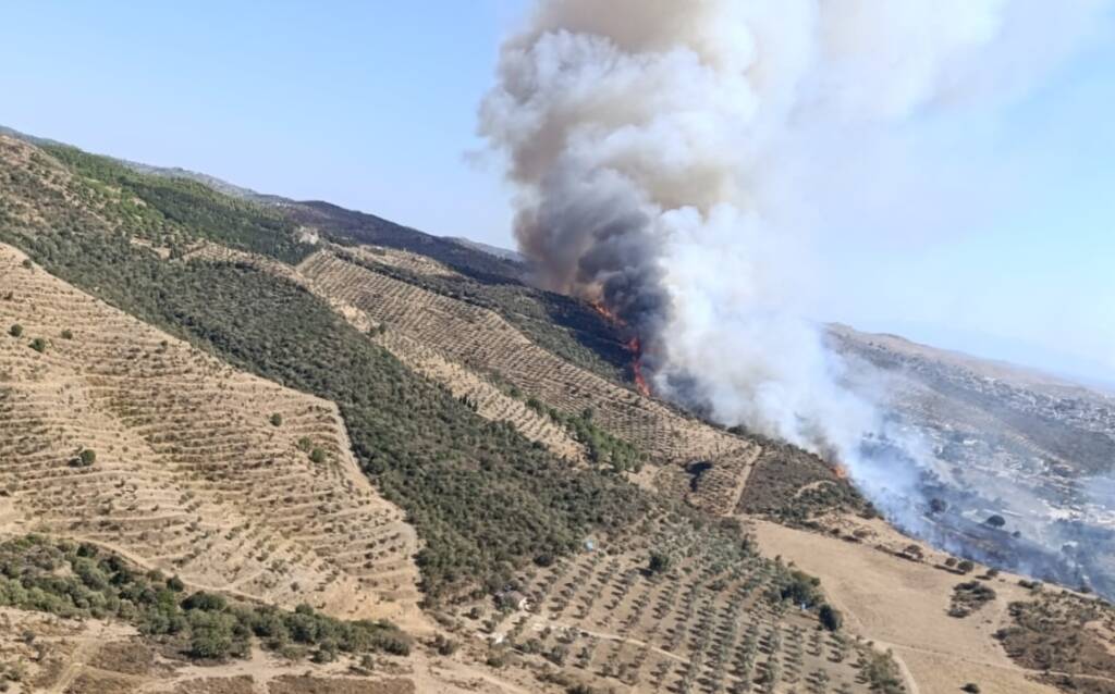 Makilik alanda yangın: Havadan karadan müdahale ediliyor