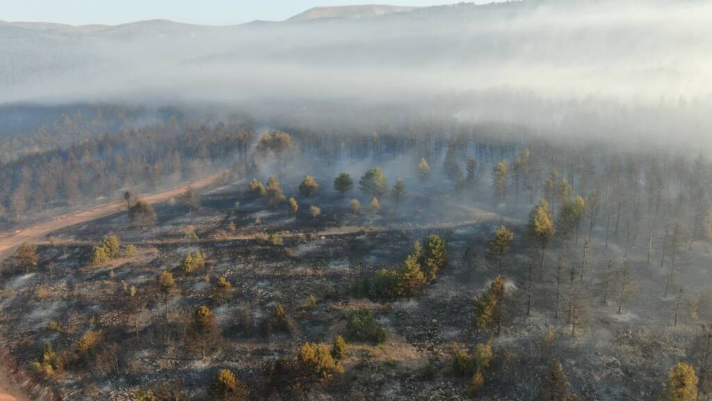 Çankırı’nın Ilgaz ilçesinde çıkan