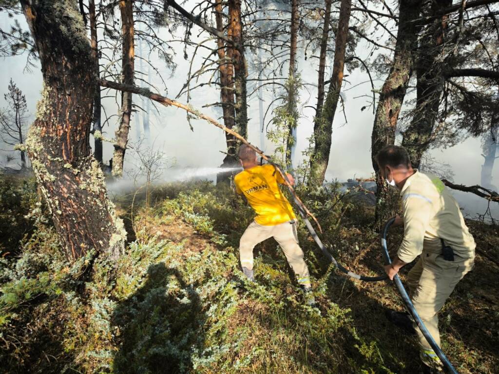 Ankara-Bolu sınırındaki yangına müdahale ediliyor