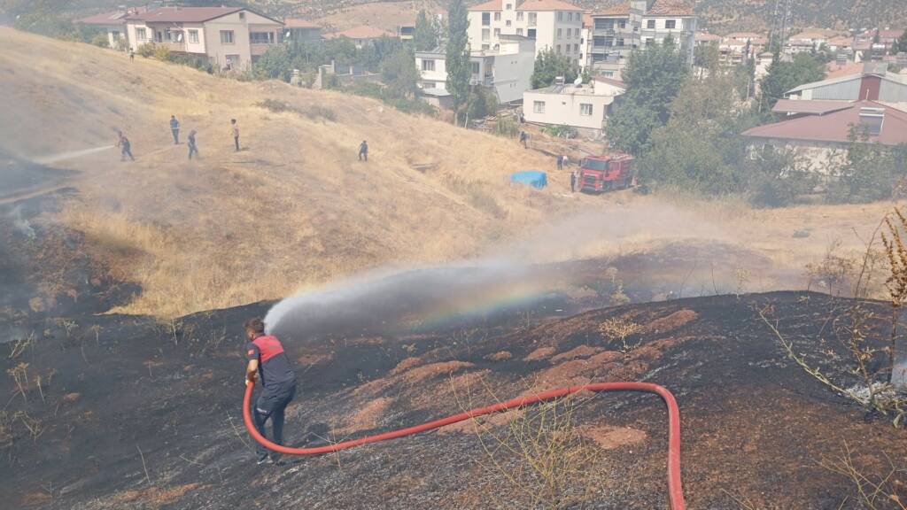 Adıyaman'ın Gölbaşı ilçesinde otluk