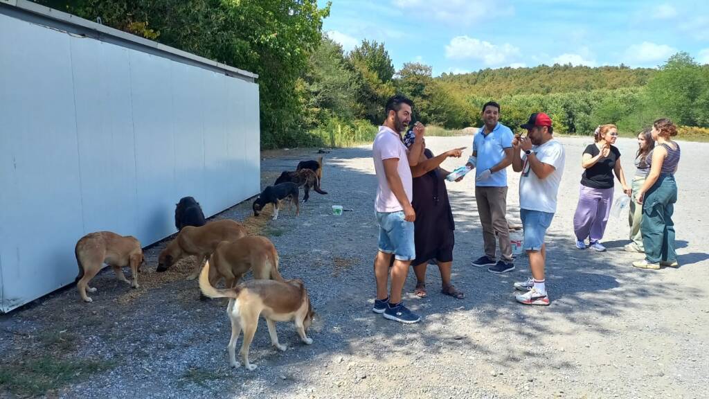 Reşadiye Ormanı’nda Patili Dostlar İçin Anlamlı Bir Etkinlik