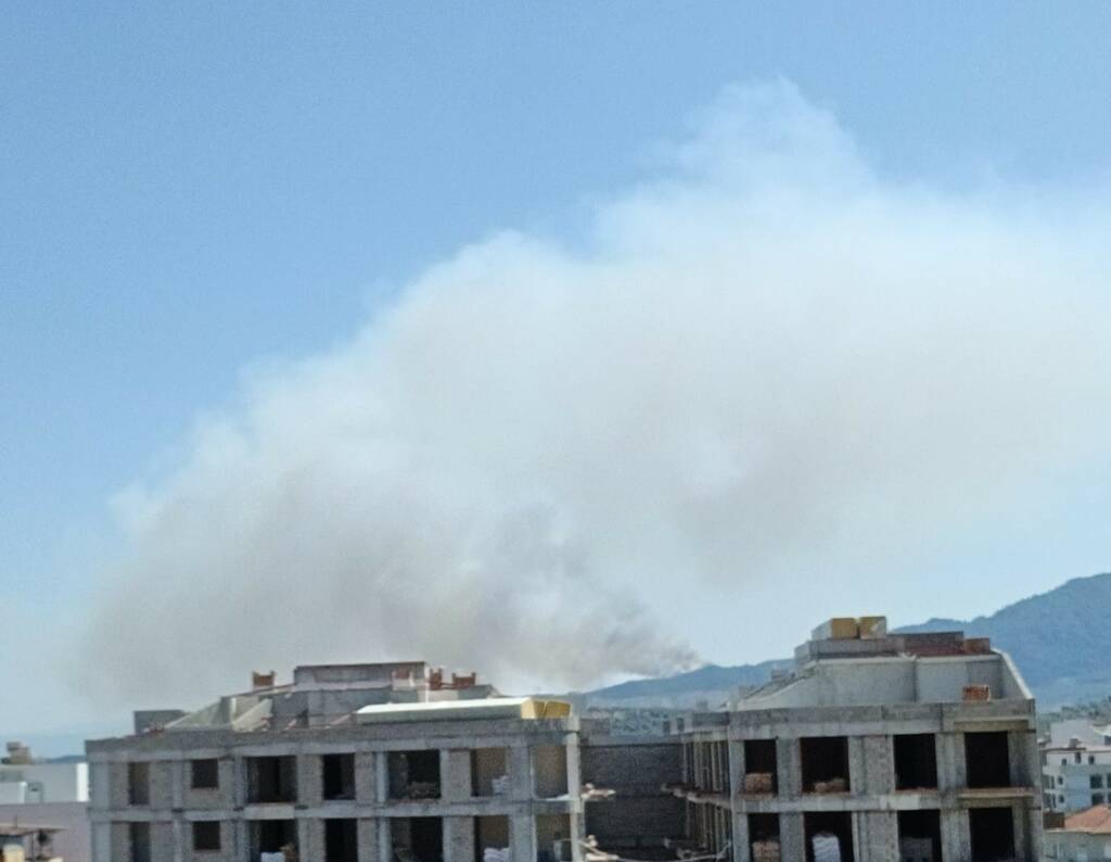 Aydın’da orman yangını: Müdahale ediliyor!