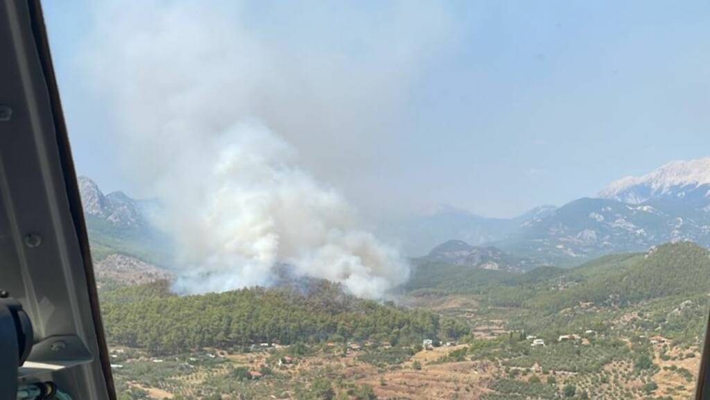  Antalya'nın Serik ilçesinde, ormanlık