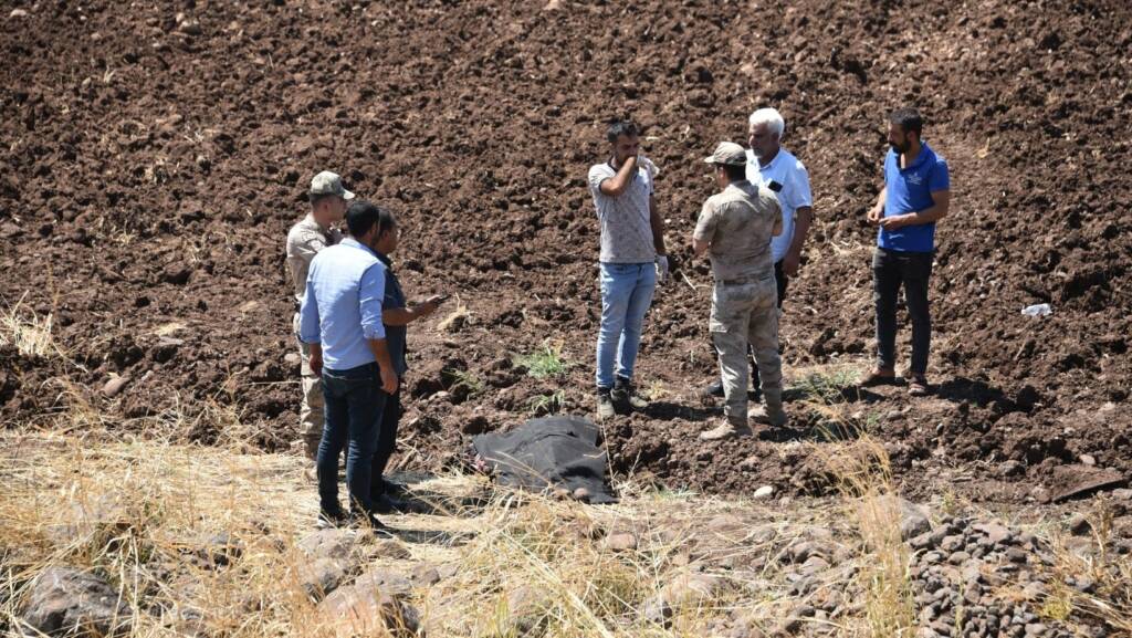 Şanlıurfa'nın Siverek ilçesinde otomobilin