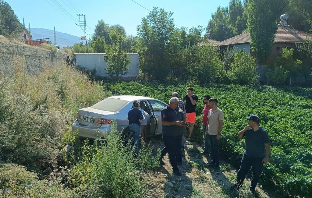 Malatya'nın Doğanşehir ilçesinde bahçeye