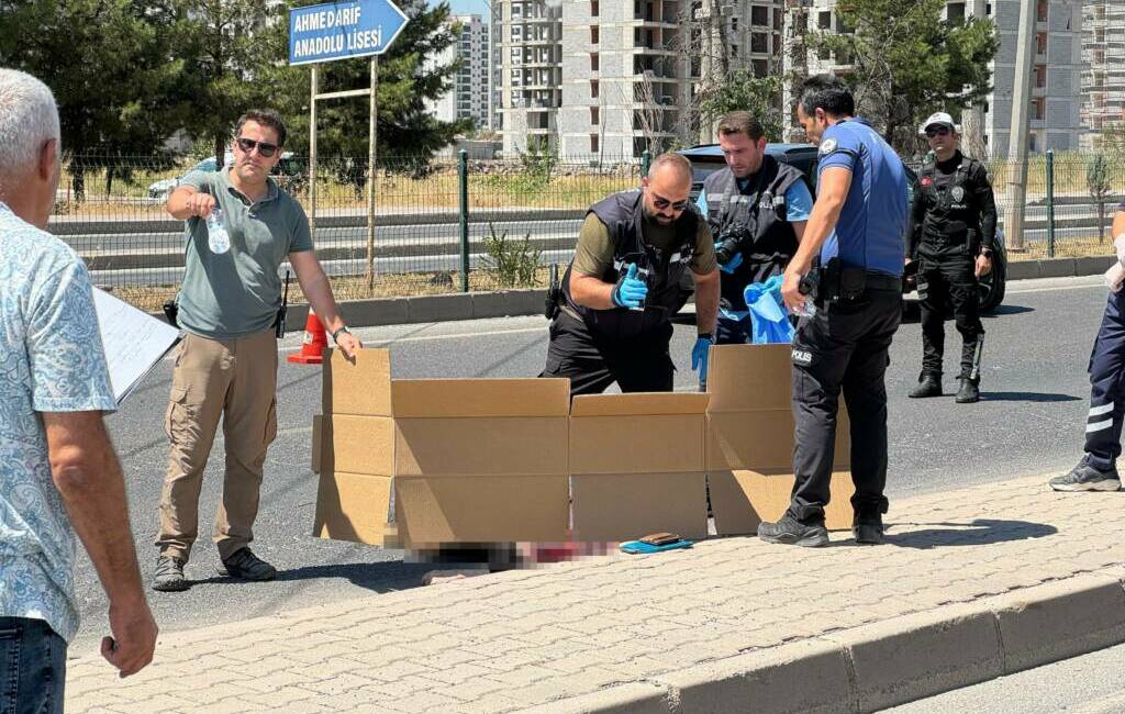 Diyarbakır-Elazığ karayolunda yaya geçidinden