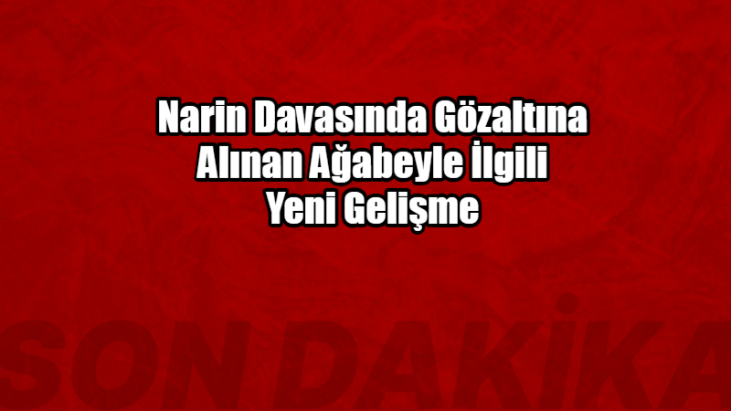 Narin Davasında Gözaltına Alınan Ağabeyle İlgili Yeni Gelişme