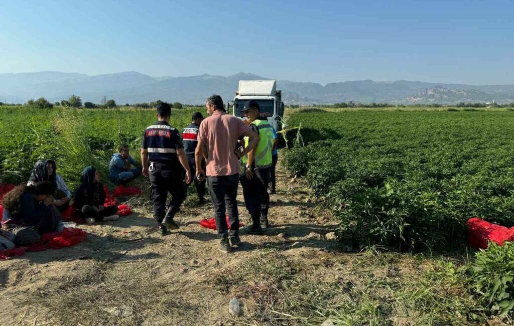 Manisa’nın Salihli ilçesinde, mevsimlik