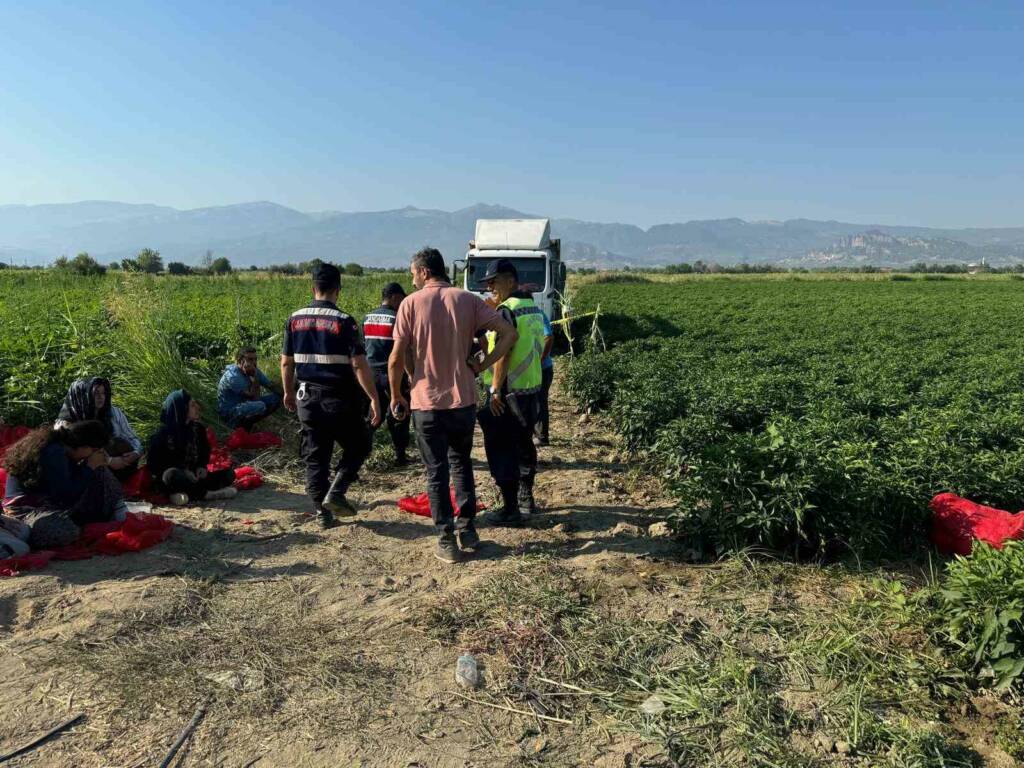 Tarlada uyuyan çocuk kamyonun altında kaldı, şoförü öldürüldü!