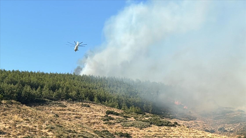 Hatay'ın Antakya ilçesinde çıkan