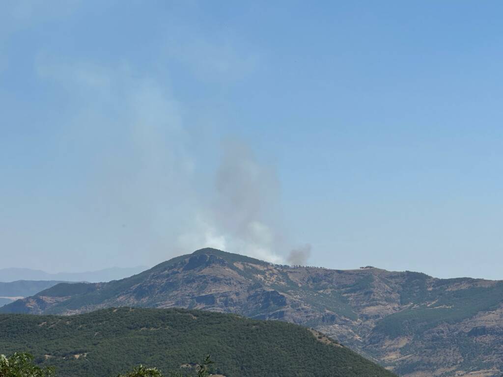 Tunceli’de orman yangını: Müdahale ediliyor!