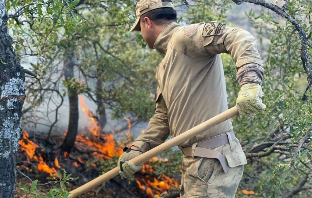 Tunceli'nin Nazımiye ilçesinde ormanlık