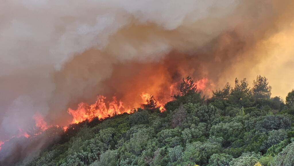 Çanakkale'nin Eceabat ilçesinde çıkan